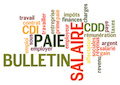 Certificat Professionnel FFP Chargé/e d’administration des payes du spectacle Certificat Professionnel FFP Chargé/e d’administration des payes du spectacle