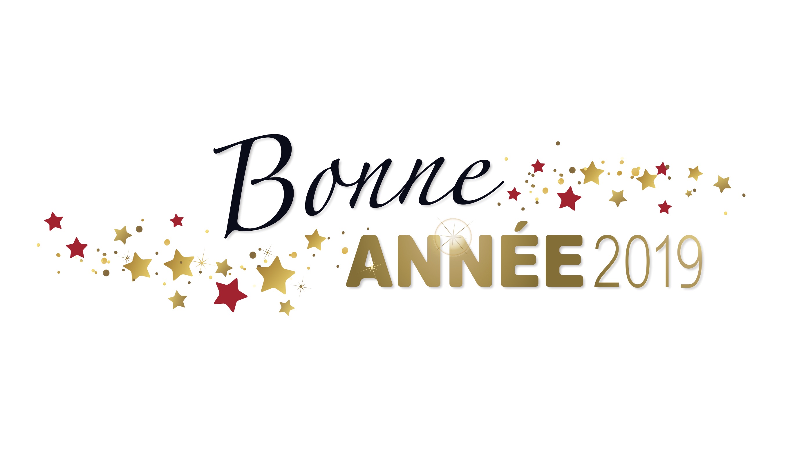 Bonne année 2019